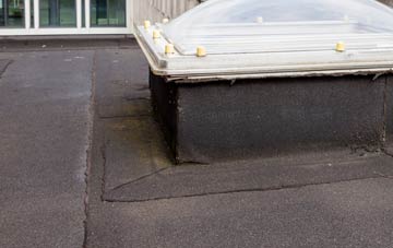 disadvantages of Penrhiwtyn flat roofs